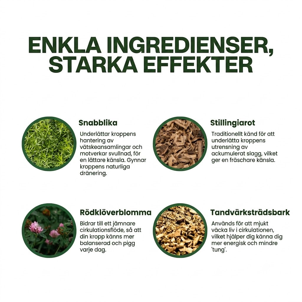 Googeer | Lymfdränage Formula
