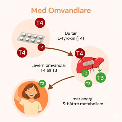 THYROVIVA™ | Komplext stöd för sköldkörtelns normala funktion