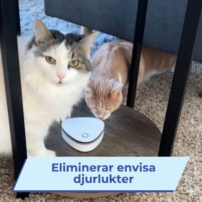 RenLuft | Tar bort rök, djur- och matlukt med ett knapptryck