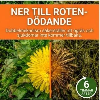 OgräsStopp  2-in-1 Max Power Herbicide