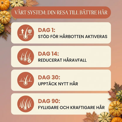 Kallpressad Pumpafröolja | Bromsa håravfallet på 30 dagar