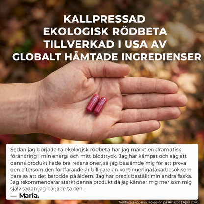 Rödbet-kapseler | främjar en sund blodcirkulation och hjärt- och kärlhälsa